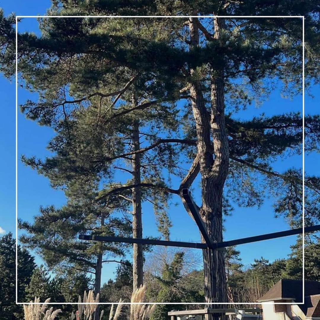 Le Regina Hotel Restaurant Hardelot-Plage Bagian luar foto