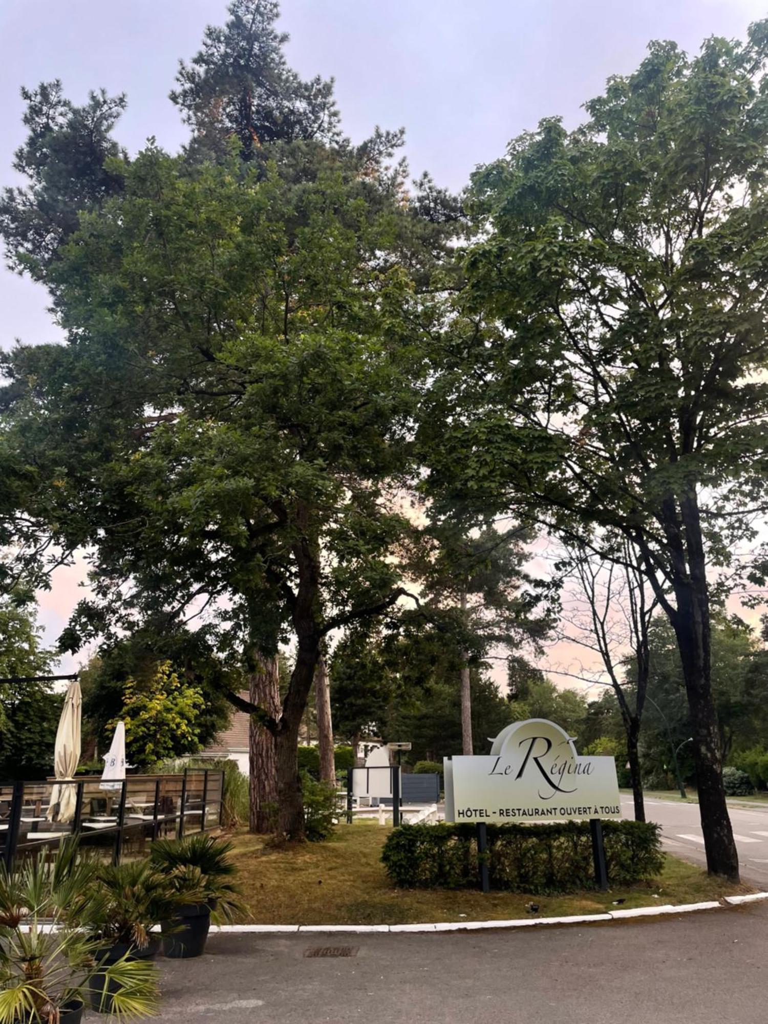 Le Regina Hotel Restaurant Hardelot-Plage Bagian luar foto
