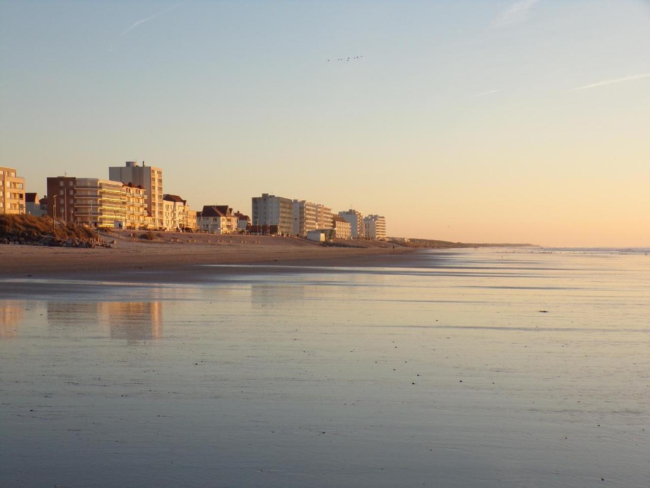 Le Regina Hotel Restaurant Hardelot-Plage Bagian luar foto